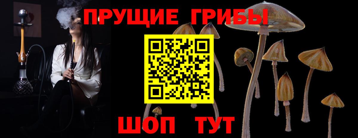Галлюциногенные грибы ЛСД Казань